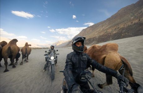 27558x800x600 212121 H