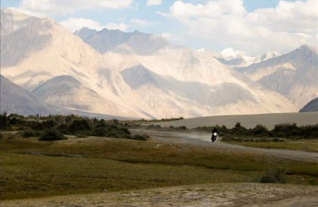 27560x800x600 212121 H