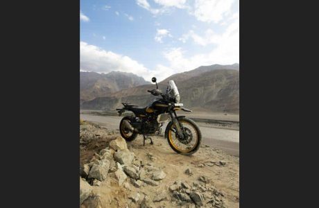 27564x800x600 212121 H